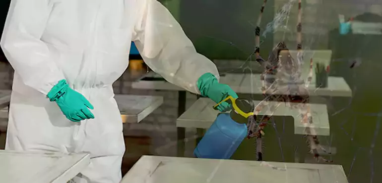 Why Buyers Still Want Homes With Pest Infestations in Knoxville, TN?