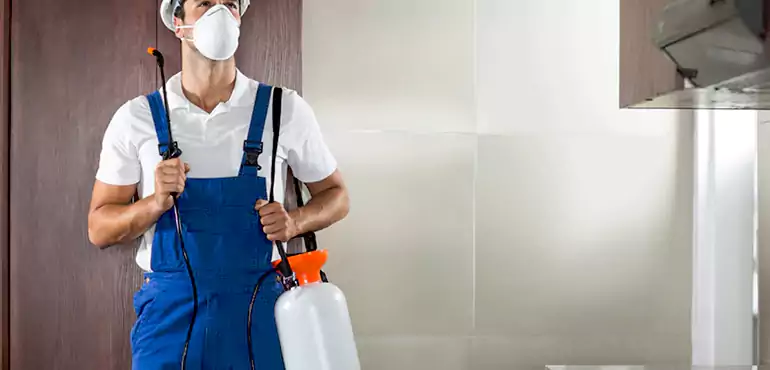 Why Knoxville Homeowners Choose Us When Pests Make Selling Difficult