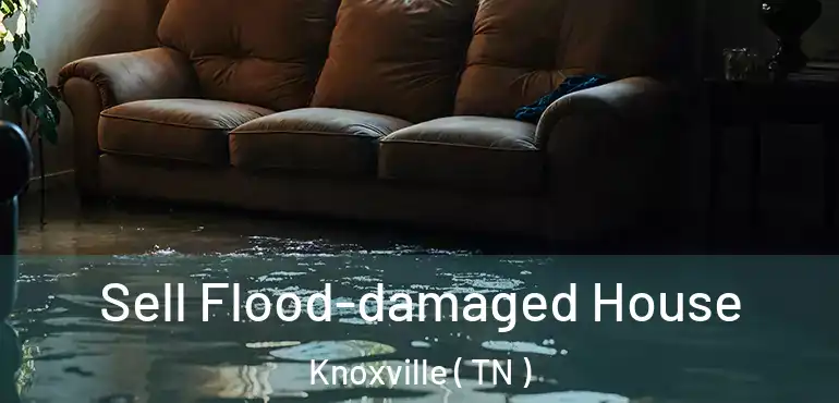  Sell Flood-damaged House Knoxville ( TN )
