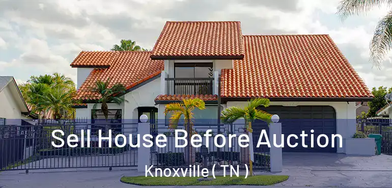 Sell House Before Auction Knoxville ( TN )