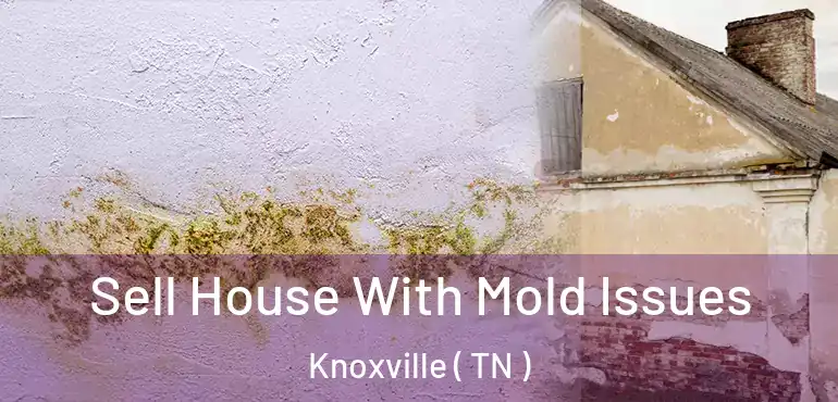  Sell House With Mold Issues Knoxville ( TN )